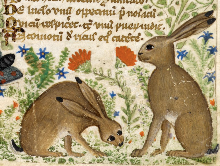 Easter 2025 concert "In the midst of life: Music of Reflection" - Liverpool Renaissance Singers concert